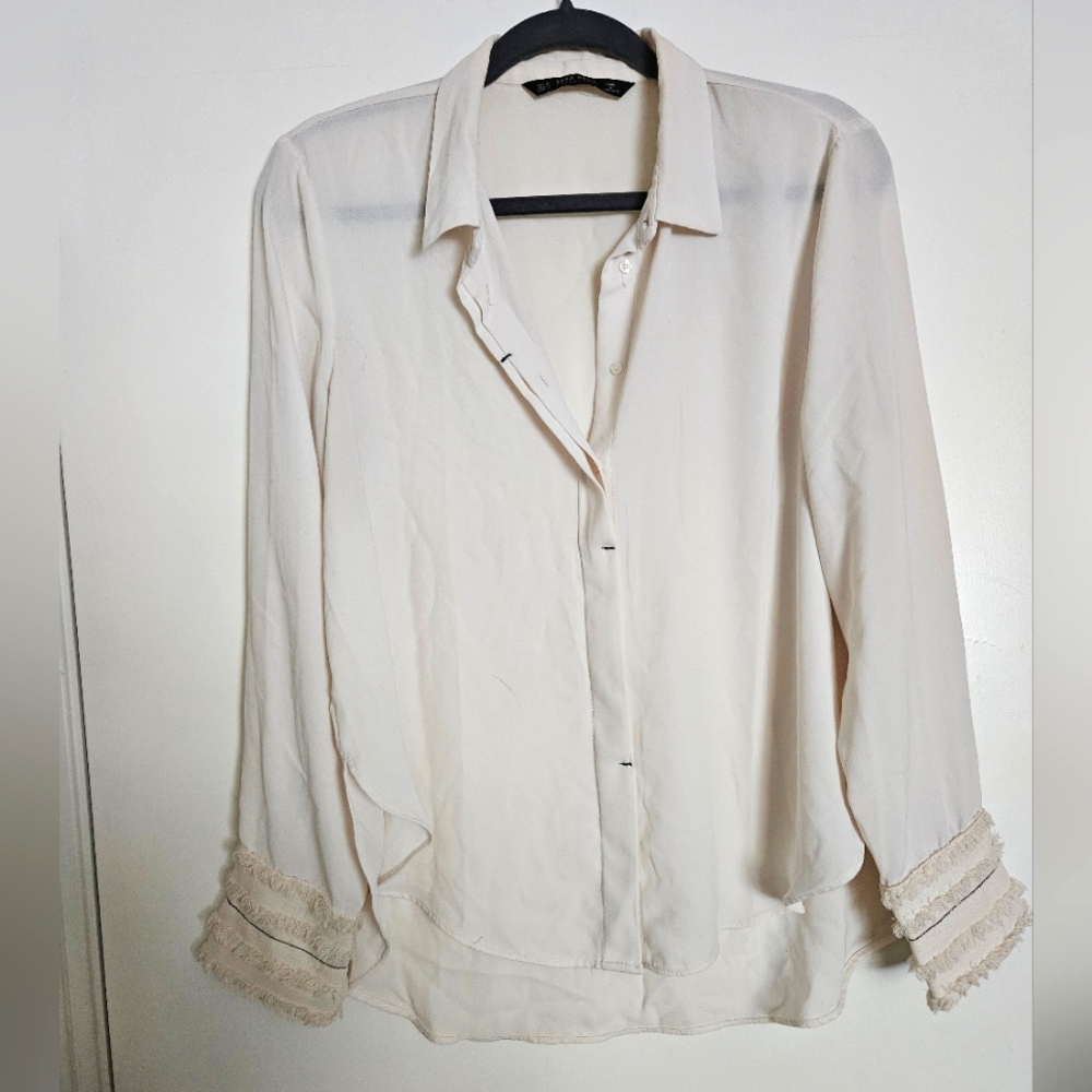 Zara Sheer Button Blouse
